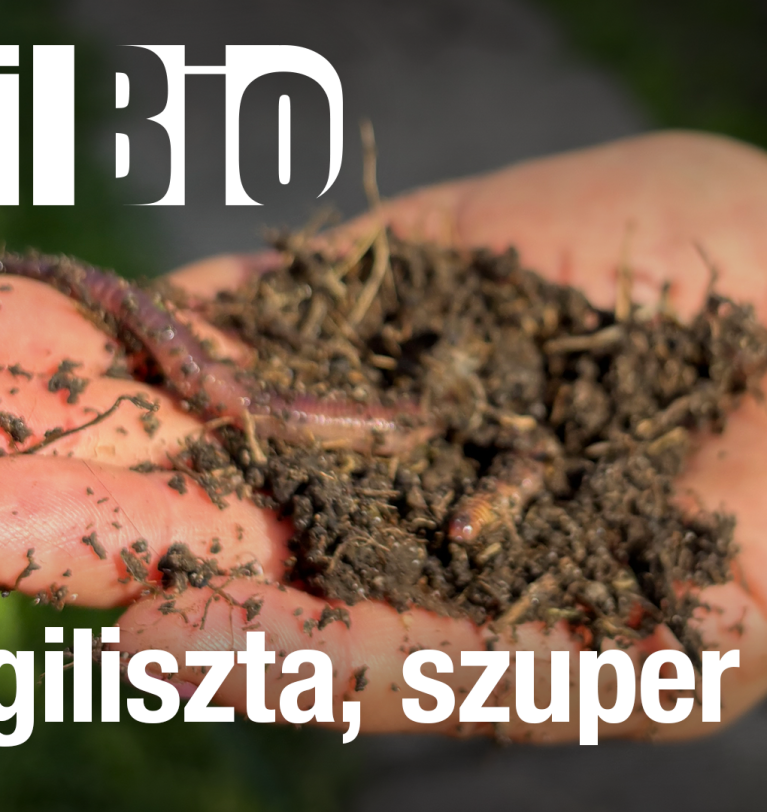 Sok giliszta, szuper talaj