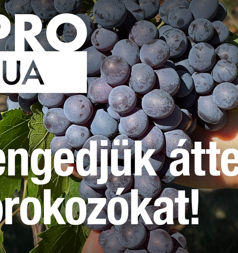 Ne engedjük átteleni a kórokozókat!