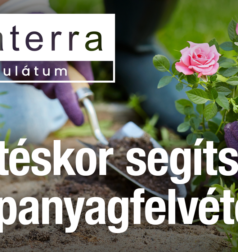 Ültetéskor segítse a tápanyagfelvételt!