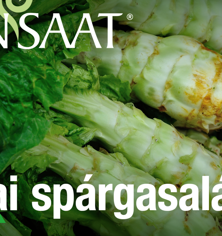 Finom ázsiai zöldség a spárga és a karalábé ízével!