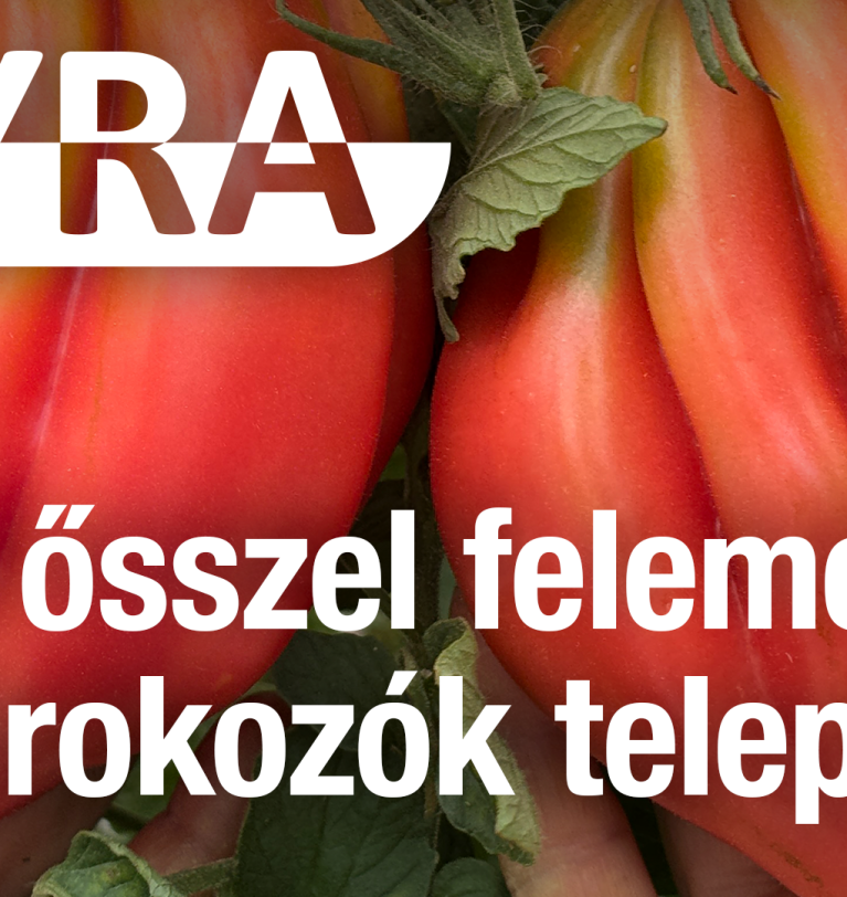 Már ősszel felemészti a kórokozók telepeit!