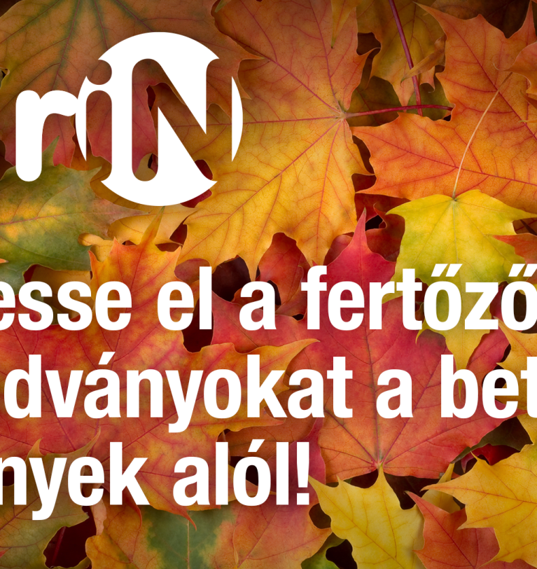 Tüntesse el a fertőző maradványokat a beteg növények alól!