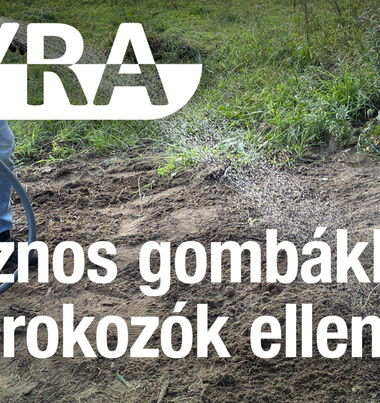 Hasznos gombákkal a kórokozók ellen!