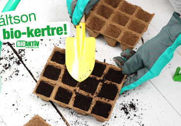 Vetőmagok palántaneveléshez!