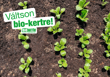 Mit használ Gyöngyvér a szabadföldi biozöldségek védelmére a szezon elején és végén?