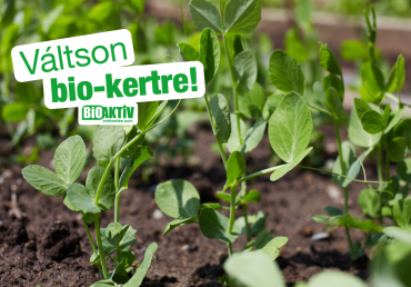 Szabadföldi zöldségek harmonikus tápanyagellátása!